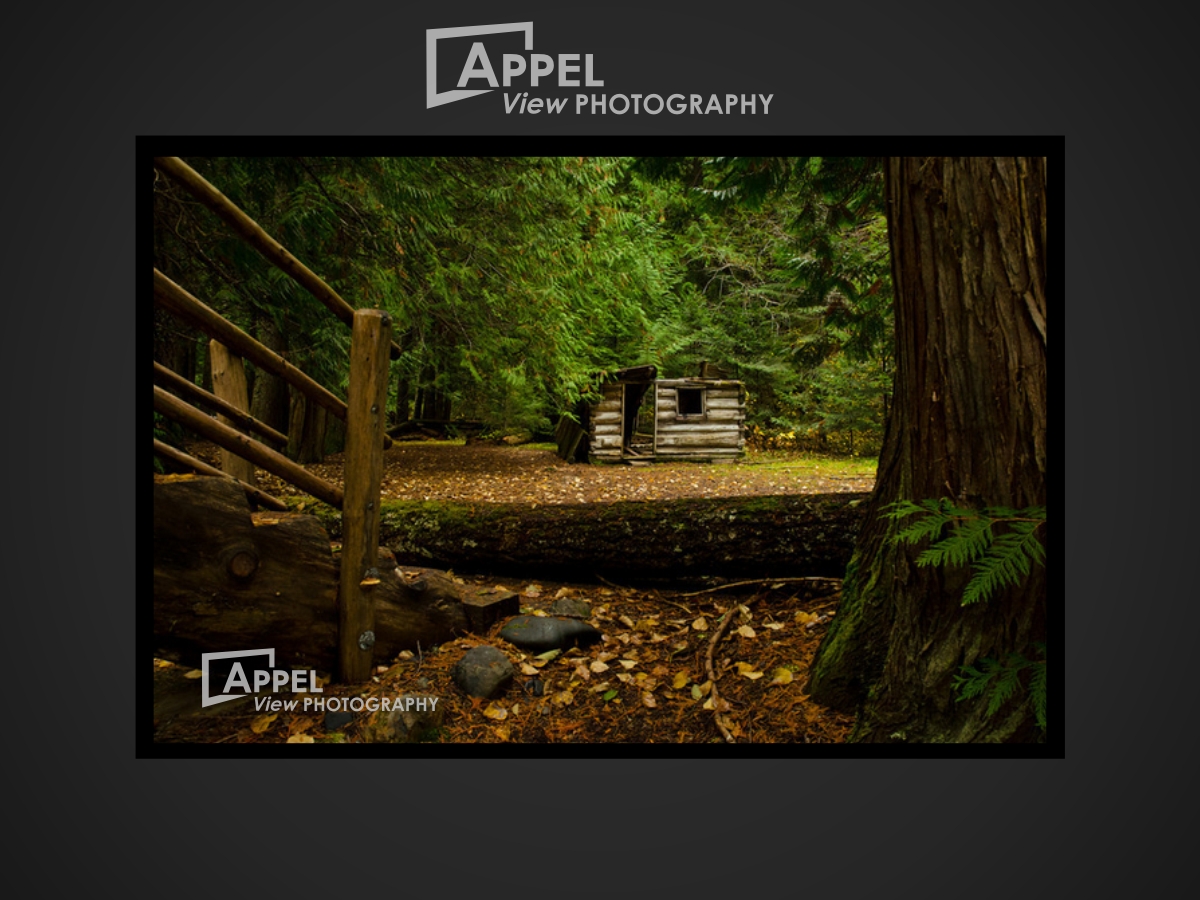 Logo Design by M Sidik Pramono for this project | Design #4047866