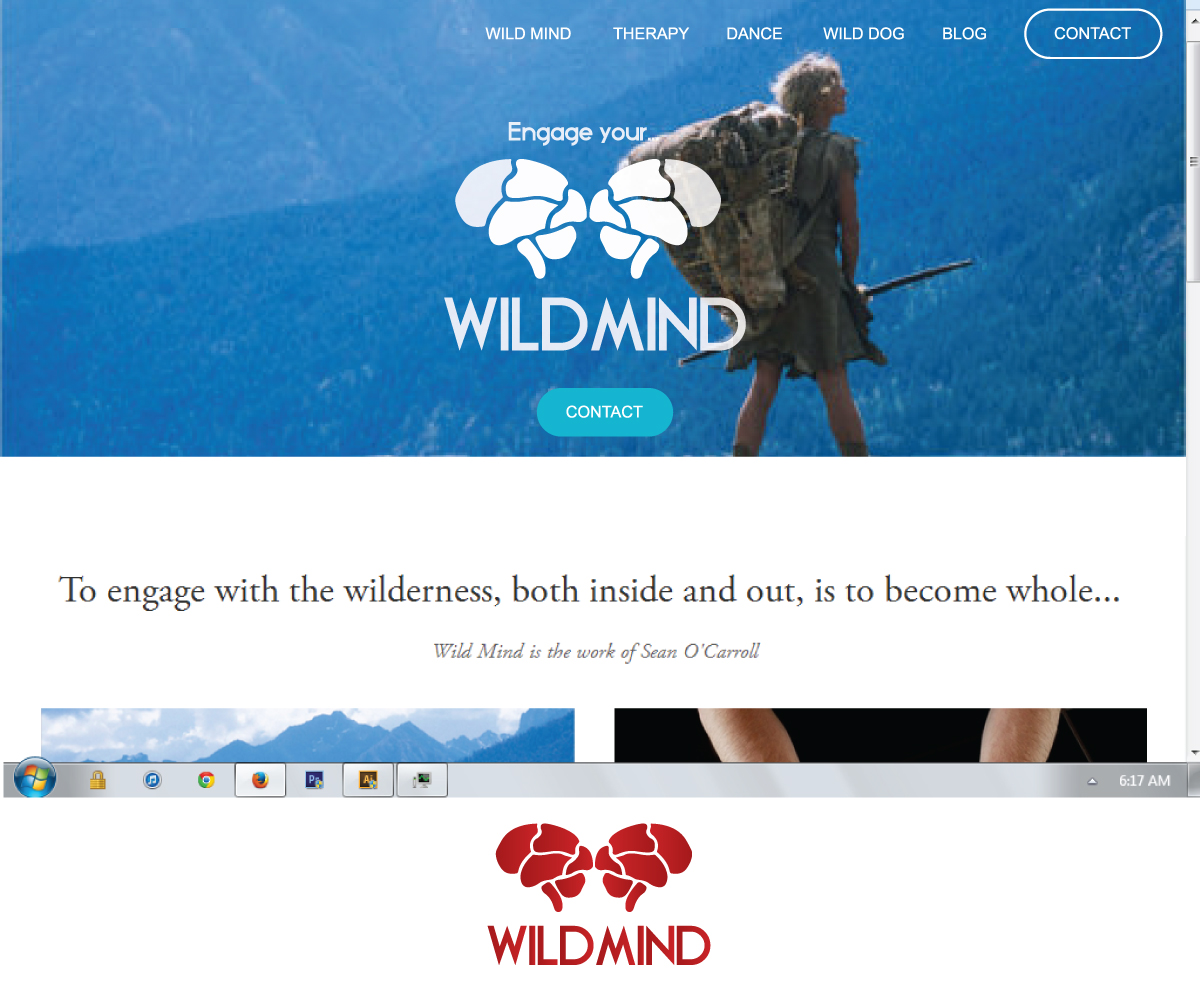 Diseño de Logo por ICKE para Seanovski Photography & Design | Diseño #4204098