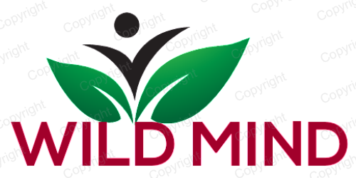 Logo Design by amitcult for Seanovski Photography & Design | Design #4006479