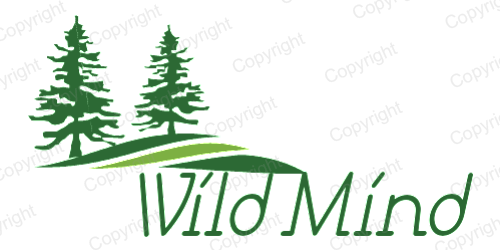 Logo Design by amitcult for Seanovski Photography & Design | Design #4007596