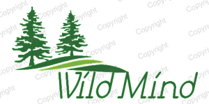 Design de Logo par amitcult pour Seanovski Photography & Design | Design #4007596