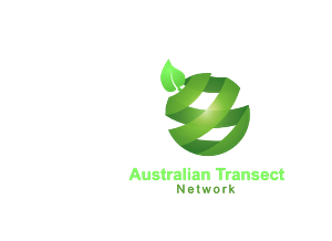Logo Design by samiullah