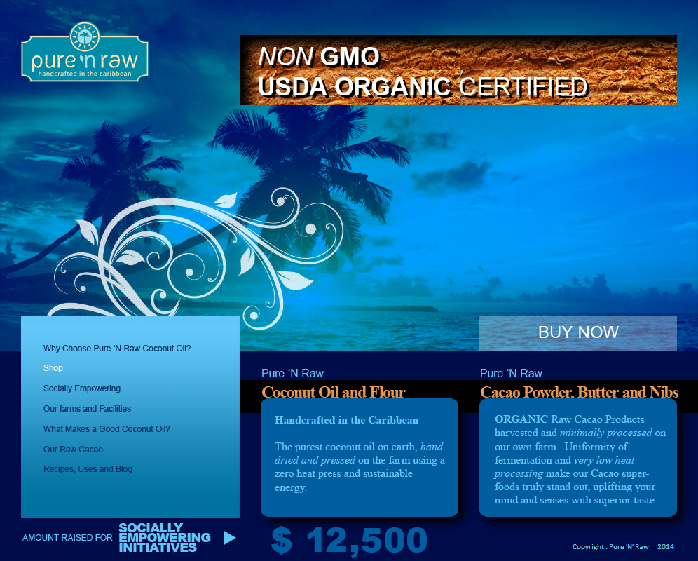 Diseño de Brochure por coa para este proyecto | Diseño #4037924