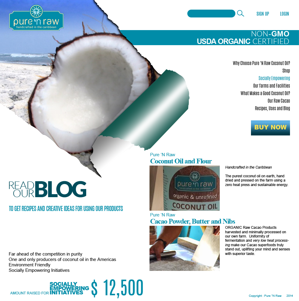 Brochure Design by coa for this project | Design #4070370