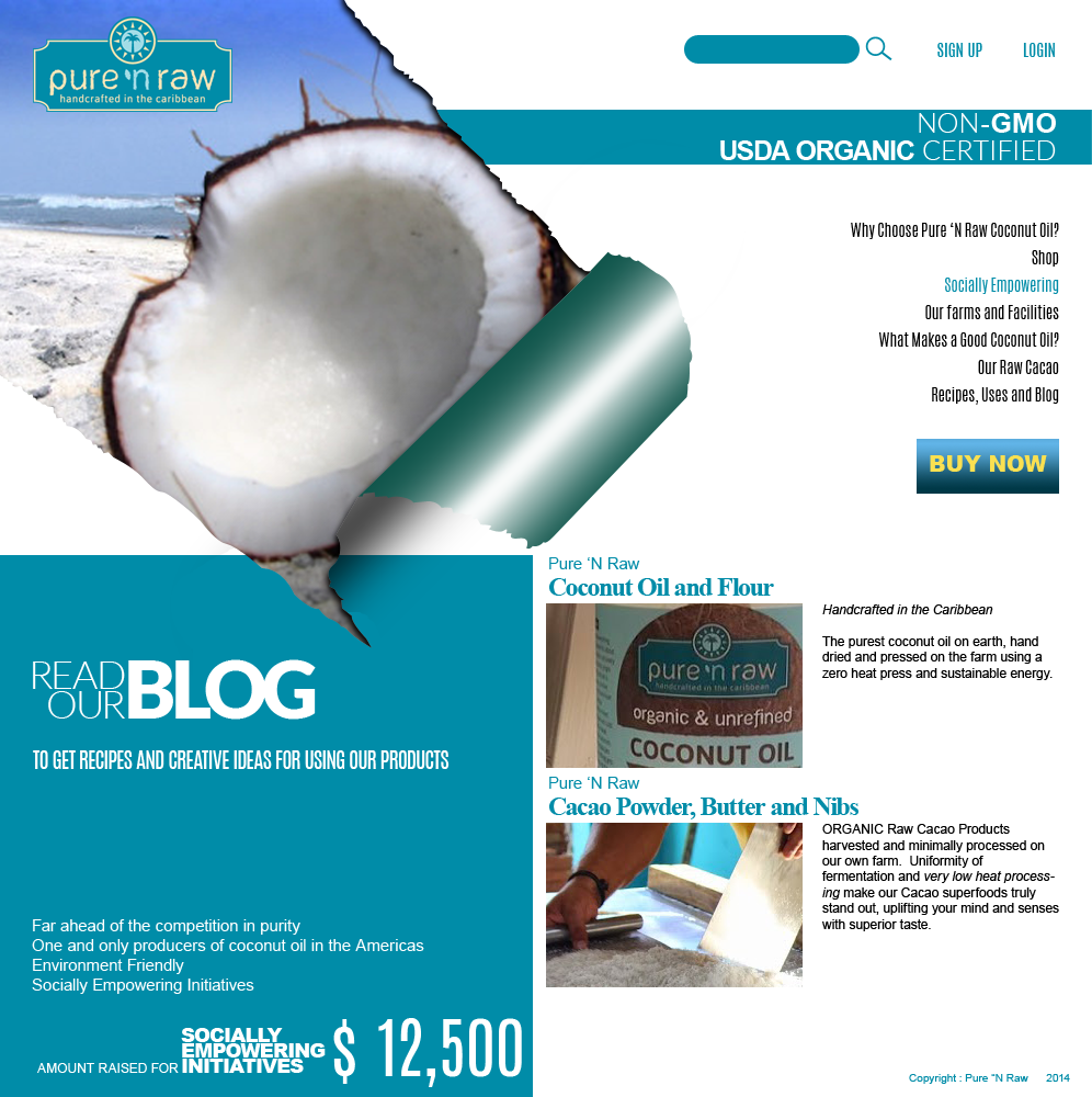 Brochure Design by coa for this project | Design #4288019