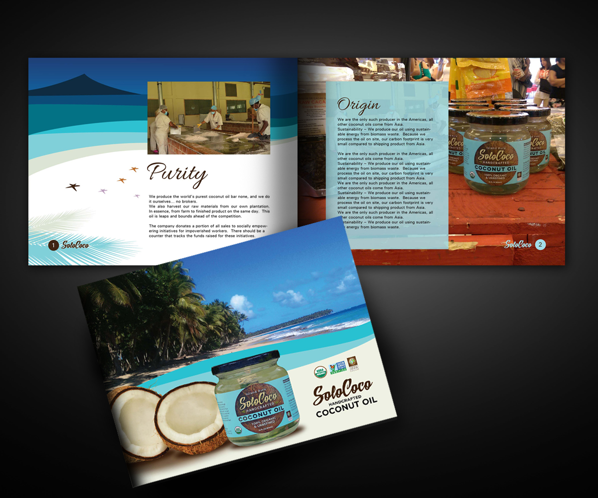Brochure Design by GliderGraphx for this project | Design #6276006