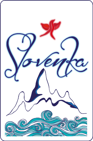 Logo Design by Illanka Wonka for Studio Vrtinec d.o.o. | Design: #4022665