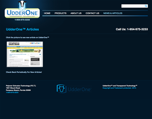 Web Design by Ballyhoopro