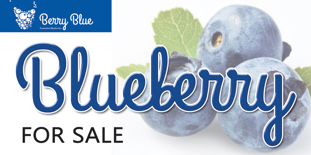 Signage Design by Rozita for Berry Blue | Design #4061665