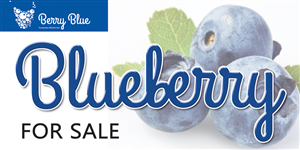 Signage Design by Rozita for Berry Blue | Design: #4061665