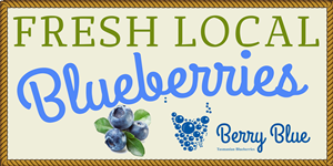 Signage Design by Venus L. Penaflor for Berry Blue | Design #4066734