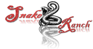 Logo Design by malex000