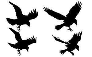 Business Card Design by Nelsur for this project | Design: #4025227