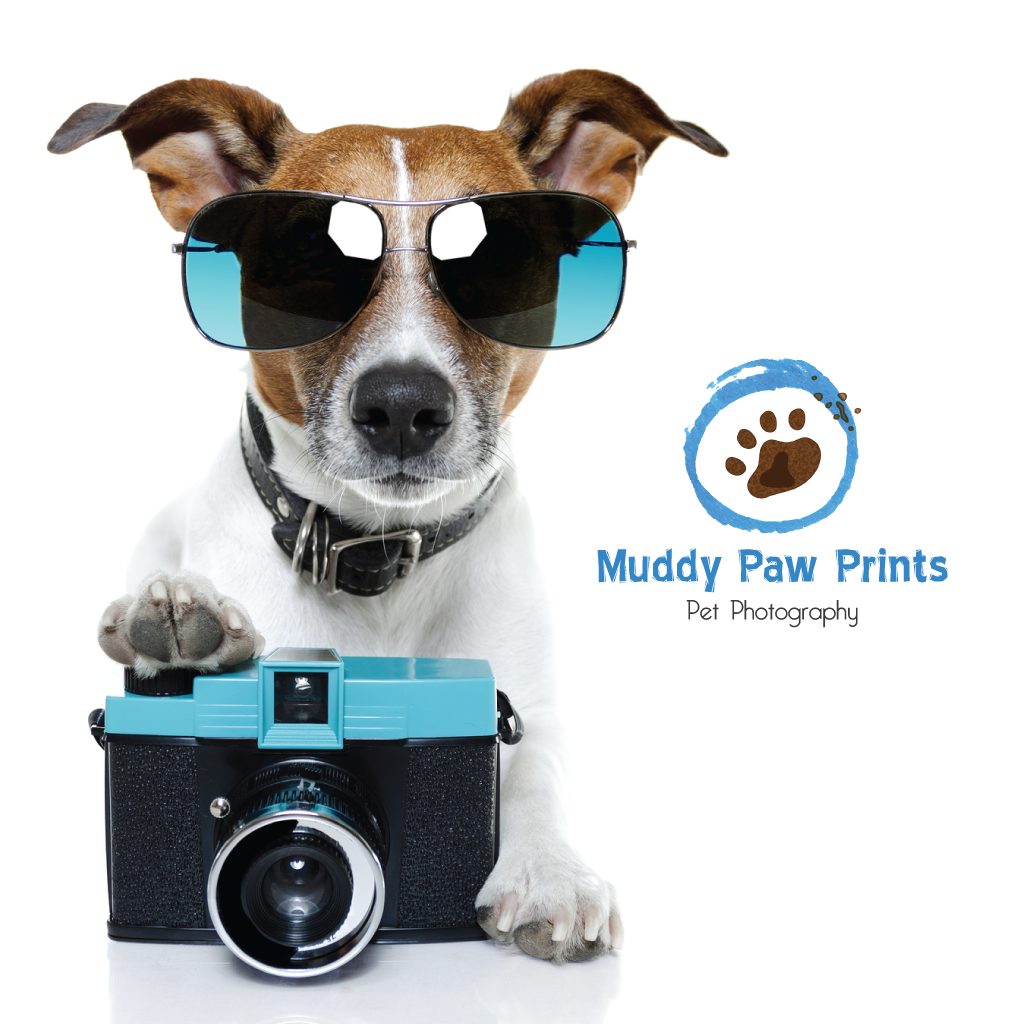 Logo Design by dan86 for this project | Design #4021154