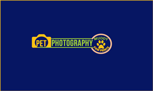 Logo Design by sofiy