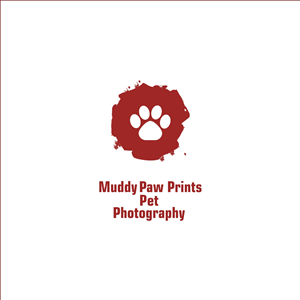 Logo Design by silent_creeper