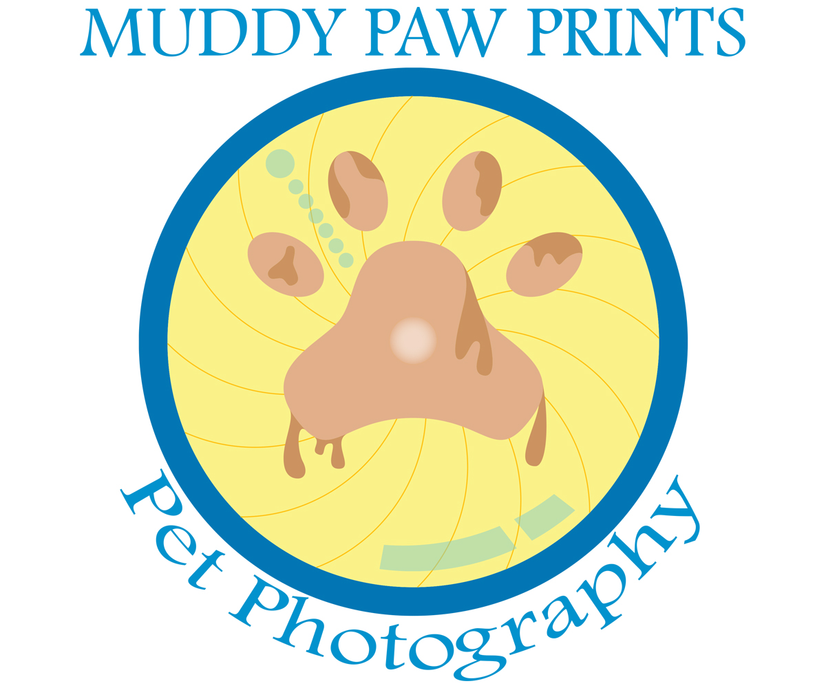 Logo Design by bermor for this project | Design #4026992