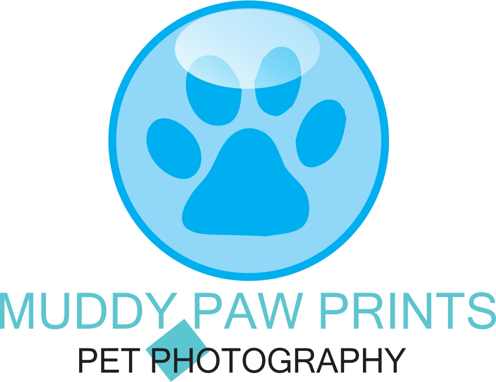 Logo Design by Ms.Seven for this project | Design #4019693