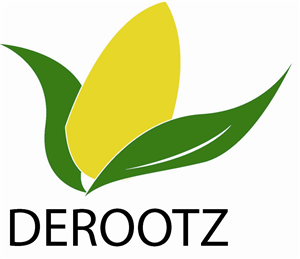 Logo Design by Ladus