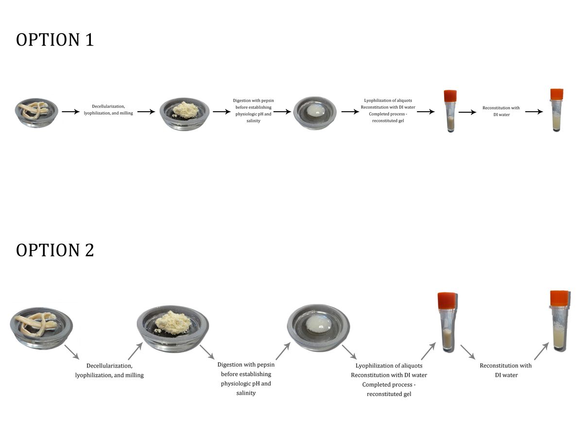 Illustration Design by Rebecca Turner for this project | Design #4049509
