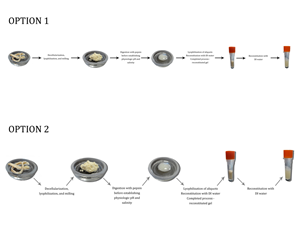 Illustration Design by Rebecca Turner for this project | Design: #4049509