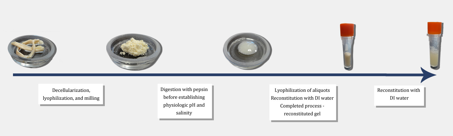Illustration Design by Rebecca Turner for this project | Design #4086489