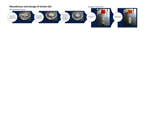 Illustration Design by Bihyee for this project | Design: #4113456