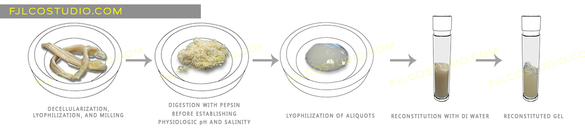 Illustration Design by fernanlagran for this project | Design #4113879