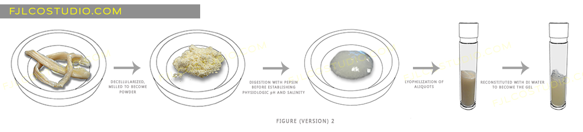 Illustration Design by fernanlagran for this project | Design #4125720