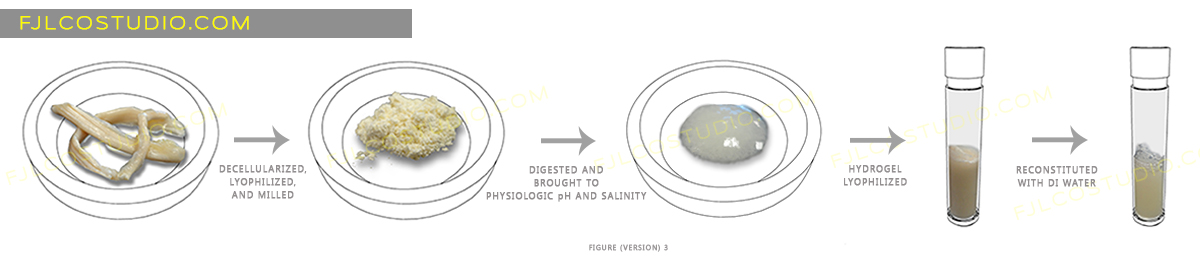 Illustration Design by fernanlagran for this project | Design #4125870