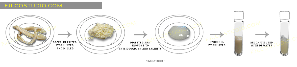Illustration Design by fernanlagran for this project | Design #4126603