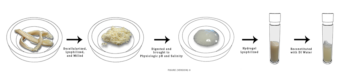 Illustration Design by fernanlagran for this project | Design #4157402