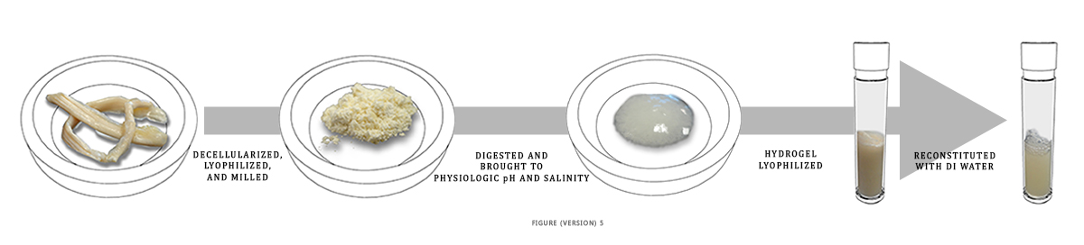 Illustration Design by fernanlagran for this project | Design #4208139