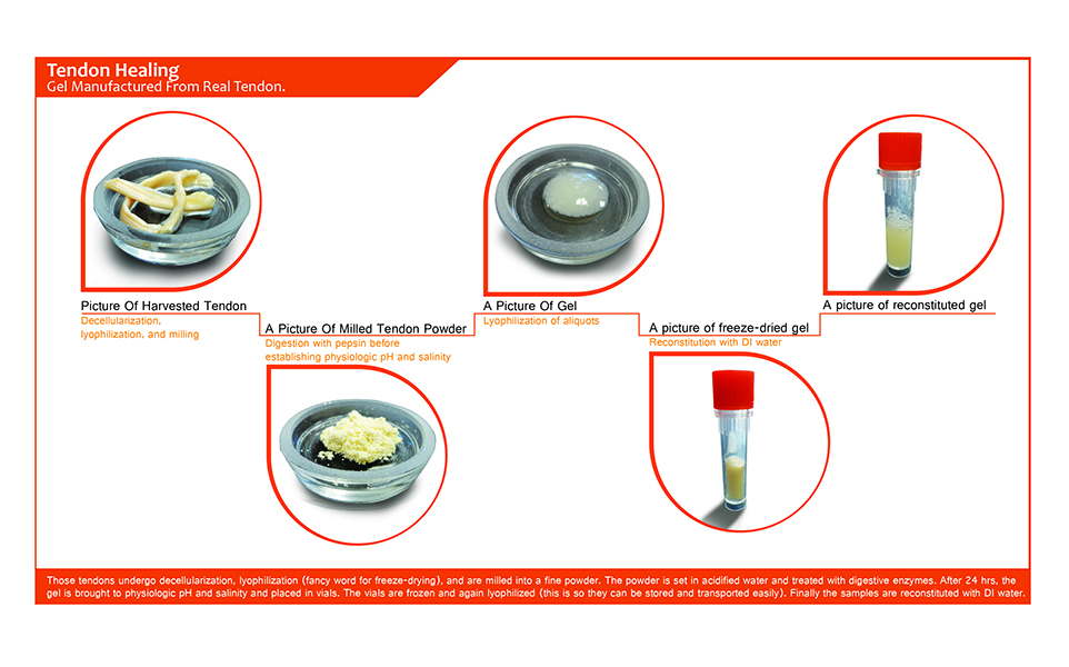 Illustration Design by fobsart for this project | Design #4114772