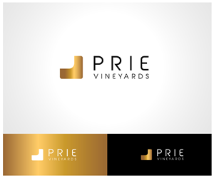 Logo Design by iNess for this project | Design: #4057373