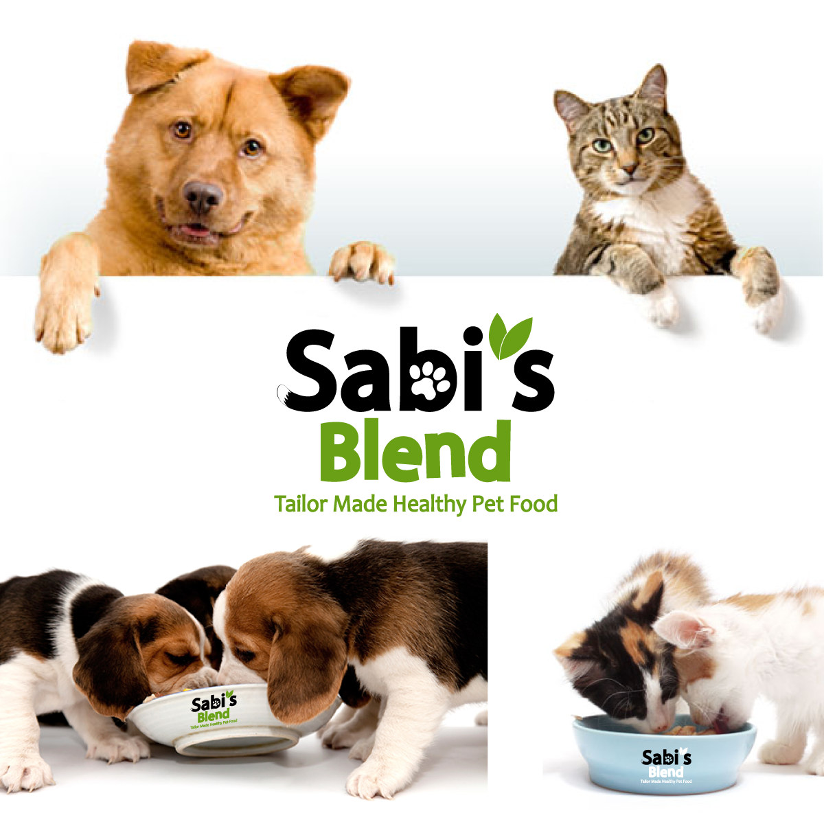 Logo Design by briliana for this project | Design #4029727