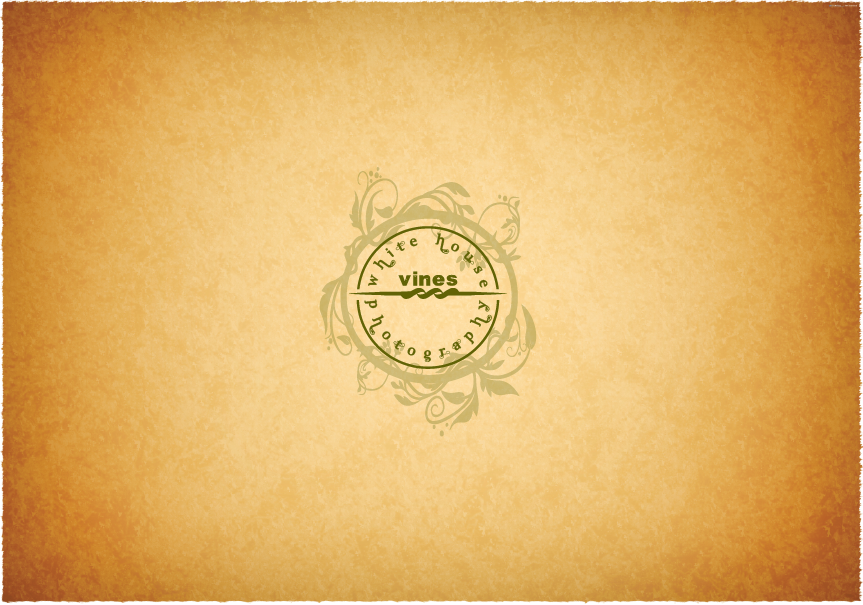 Design de Logo par Ryan Orlowski pour ce projet | Design #1109735