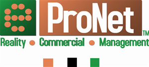 Logo Design by N'Vision