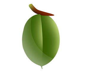 Graphic Design by Dhawala Ranaweera for Class Act | Design #1152048