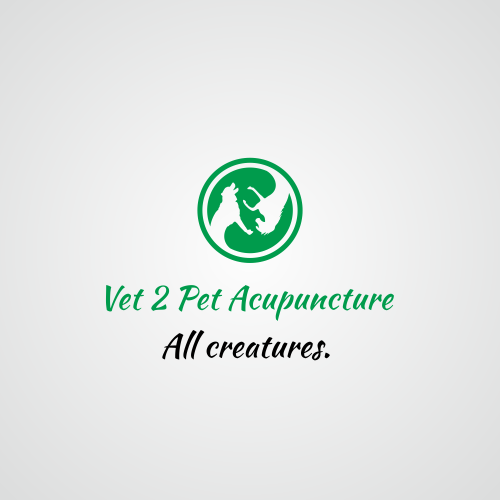 Logo Design by Doctor Logo for this project | Design #4034969