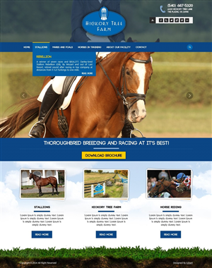 Web Design by iLibart