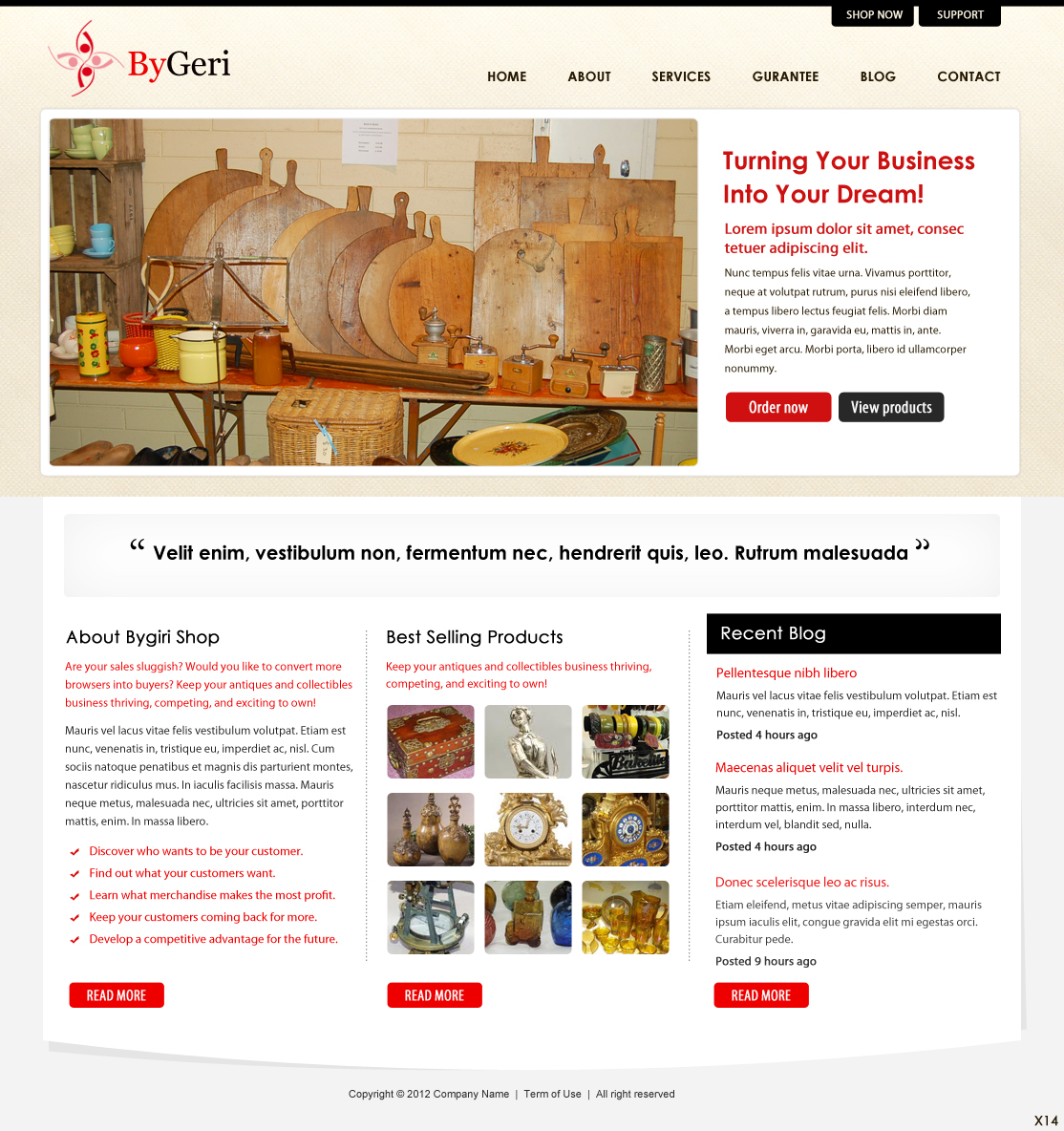 Wordpress Design by pb for this project | Design #1113046