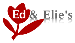 Logo Design by Designwiz