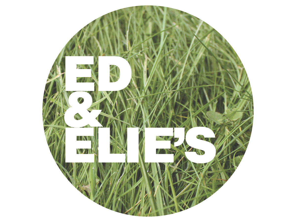 Logo Design by Exevier Design for this project | Design #1113639