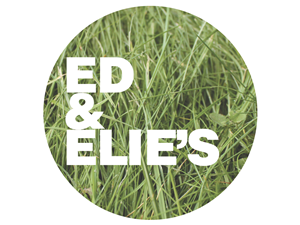 Logo Design by Exevier Design for this project | Design: #1113639