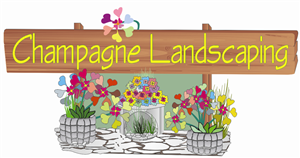 Logo Design by tarbor53