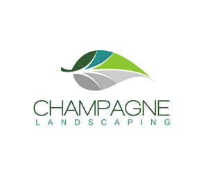 Logo Design by distantbells