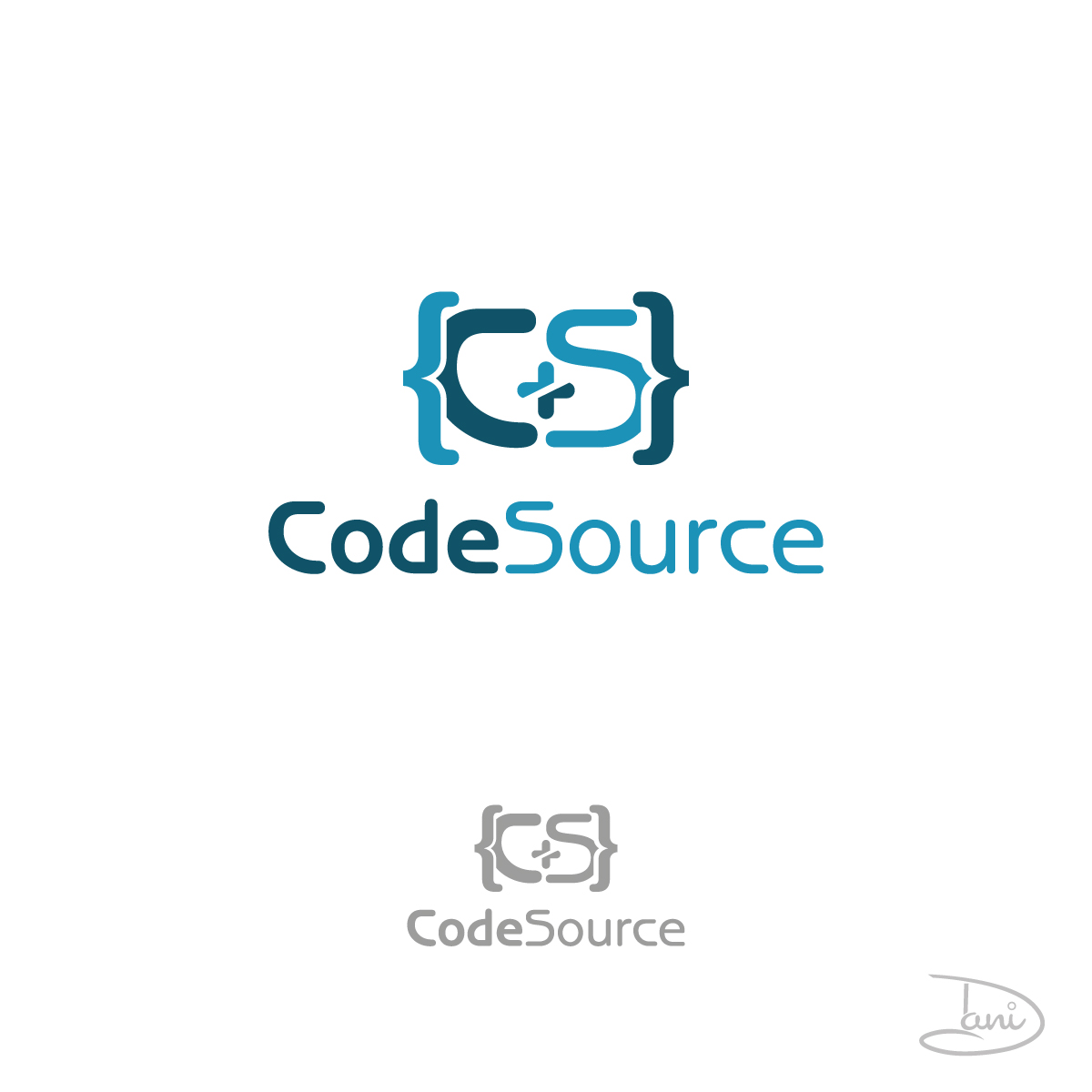Logo Design by Dani_dani for CodeSource Pty Ltd | Design #1122827