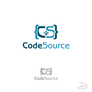 Logo Design by Dani_dani for CodeSource Pty Ltd | Design: #1122827