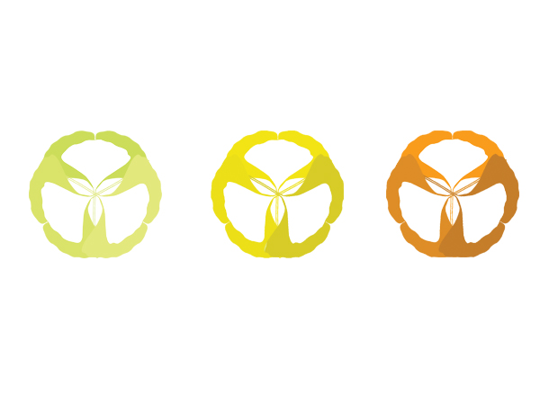 Logo Design by yudistiradwinugraha for US PHARMACY RELIEF | Design #150467